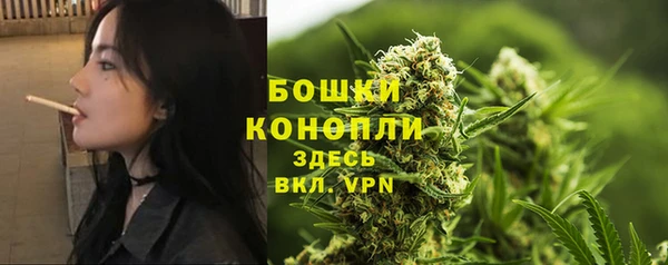 прущая мука Богородицк