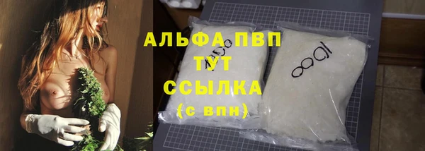 прущие грибы Богородск