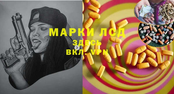 прущие грибы Богородск
