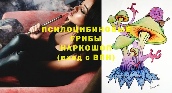 прущие грибы Богородск