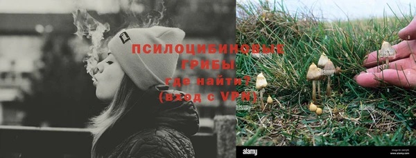 мескалин Богданович