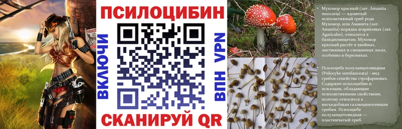 Псилоцибиновые грибы Cubensis KRAKEN вход Электроугли
